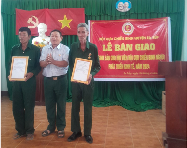 Hội Cựu chiến binh huyện Ea Súp tặng bò sinh sản cho hội viên nghèo tại xã Ya Lốp